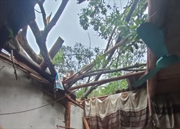 Tuyên Quang: Hơn 110 ngôi nhà bị tốc mái, hư hỏng do giông lốc