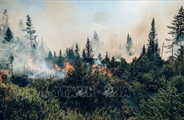 Cháy rừng bắt đầu bùng phát, Canada đối mặt với một mùa Hè rực lửa