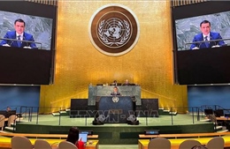 Việt Nam ủng hộ nghị quyết về vấn đề thành viên Liên hợp quốc của Palestine