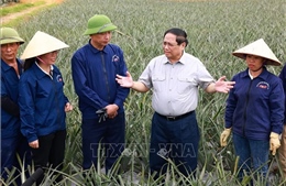 Thủ tướng Phạm Minh Chính thăm, làm việc tại Ninh Bình