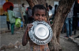 Hơn 1/4 số trẻ dưới 5 tuổi đối mặt với tình trạng thiếu lương thực nghiêm trọng