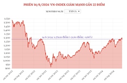 Phiên 14/6/2024: VN-Index giảm mạnh gần 22 điểm