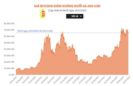 Giá Bitcoin giảm xuống dưới 66.000 USD