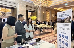 Việt Nam tham gia Hội chợ kết nối doanh nghiệp khởi nghiệp ASEAN - Nhật Bản 