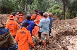 Indonesia triển khai đội tìm kiếm, cứu nạn trong vụ lở đất trên đảo Sulawesi