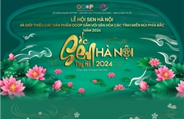 Từ 12 - 16/7, lần đầu tiên Hà Nội tổ chức Lễ hội Sen