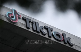 TikTok trở thành một trong những nền tảng thương mại điện tử lớn nhất Đông Nam Á