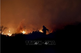 Nam Phi: 6 lính cứu hỏa bị thiệt mạng trong vụ cháy rừng nghiêm trọng
