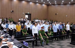 Xét xử vụ FLC: Các bị cáo thừa nhận sự chỉ đạo xuyên suốt của Trịnh Văn Quyết