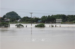 Mưa lớn gây nhiều thiệt hại tại Hòa Bình