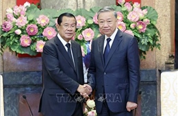 Chủ tịch nước Tô Lâm tiếp Chủ tịch Đảng Nhân dân Campuchia Hun Sen