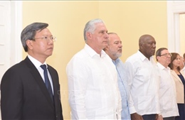 Chủ tịch Cuba viếng Tổng Bí thư Nguyễn Phú Trọng