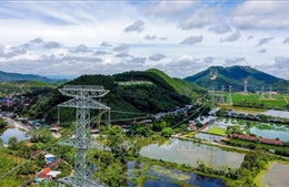 Phấn đấu hoàn thành đường dây 500 kV mạch 3 dịp kỷ niệm Cách mạng tháng Tám và Quốc khánh 2/9