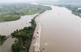 Đảm bảo an toàn hệ thống đê điều ứng phó với mưa lũ