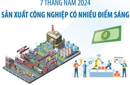 Sản xuất công nghiệp có nhiều điểm sáng