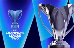 VFF hỗ trợ Thép Xanh Nam Định tổ chức các trận đấu tại AFC Champions League Two 2024/2025