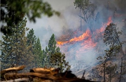 Mỹ: Cháy rừng lớn ở California bùng phát trở lại do thời tiết rất nóng và khô