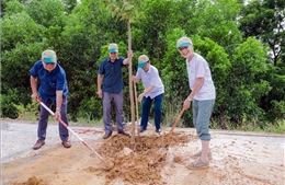 Gần 30 năm trồng &#39;cây hòa bình&#39; trên vùng đất lửa Quảng Trị