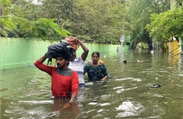 Mưa lớn hoành hành tại Ấn Độ và Pakistan, hàng nghìn người phải sơ tán