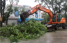 Bắc Ninh: Tập trung chỉ đạo khắc phục hậu quả sau cơn bão số 3