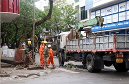 Khắc phục ảnh hưởng bão số 3: Điện lực Thái Bình sớm cấp điện trở lại