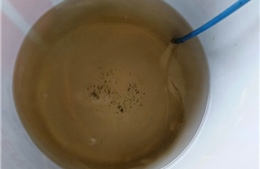 Bình Phước: Tái diễn tình trạng nước máy liên tục đổi màu, có cặn đen