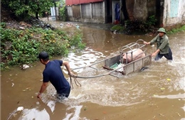 Hưng Yên chủ động ứng phó với lũ lớn trên sông Hồng