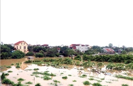 Vĩnh Phúc, Hưng Yên phát lệnh báo động lũ cao trên sông Phó Đáy và sông Luộc