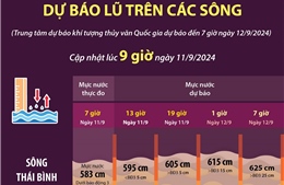 Dự báo lũ trên các sông (cập nhật 9 giờ ngày 11/9/2024) 