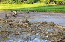 Tái thiết sau bão siêu bão Yagi: Đồng hành lúc dân cần, khi dân khó