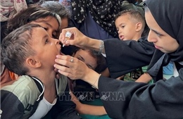 UNICEF sẽ bổ sung dinh dưỡng cho trẻ em tại Dải Gaza