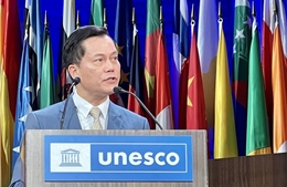 Việt Nam tham dự Kỳ họp lần thứ 220 Hội đồng Chấp hành UNESCO