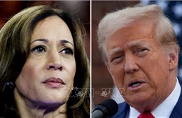 Bà Kamala Harris vượt ông Donald Trump trong cuộc đua tài chính