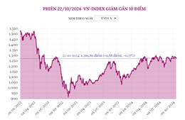 Phiên 22/10, VN-Index giảm gần 10 điểm