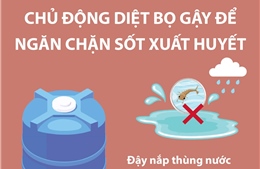 Chủ động diệt bọ gậy để ngăn chặn sốt xuất huyết