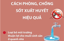 Cách phòng, chống sốt xuất huyết hiệu quả