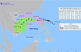 Chủ động ứng phó với bão số 7 và hoàn lưu sau bão