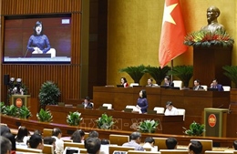 Thực phẩm chức năng xách tay buôn bán không công bố sản phẩm là vi phạm pháp luật