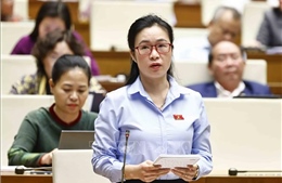 Quản lý thực phẩm chức năng, mỹ phẩm &#39;xách tay&#39; trên thị trường