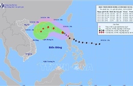 Bão số 8 giật cấp 12 trên khu vực Bắc Biển Đông