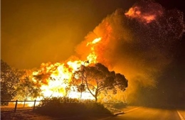 Australia: Cháy rừng hoành hành tại bang Victoria, hàng trăm người sơ tán