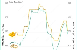 Giá vàng SJC sáng 26/11/2024