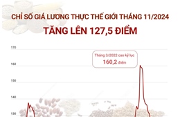 Chỉ số giá lương thực thế giới tháng 11/2024: Tăng lên 127,5 điểm