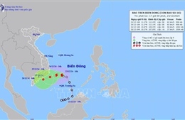 ​Từ Phú Yên đến Cà Mau chủ động ứng phó bão số 10