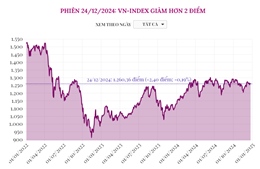 Phiên 24/12, VN-Index giảm hơn 2 điểm