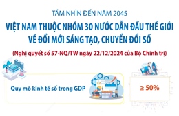 Mục tiêu Việt Nam thuộc nhóm 30 nước về đổi mới sáng tạo, chuyển đổi số