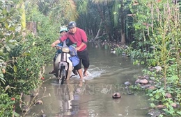 Triều cường gây ngập sâu, ảnh hưởng đến đời sống người dân Bến Tre