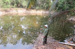 Tập trung phòng chống hạn mặn, thiếu nước trong mùa khô