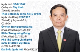 Quá trình công tác của Bí thư Trung ương Đảng, Trưởng Ban Kinh tế Trung ương Trần Lưu Quang