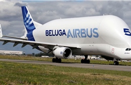 Airbus dừng vận chuyển hàng hóa bằng máy bay Beluga